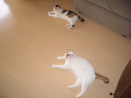 img20070923_1.jpg