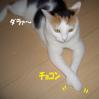 img20071019_3.jpg
