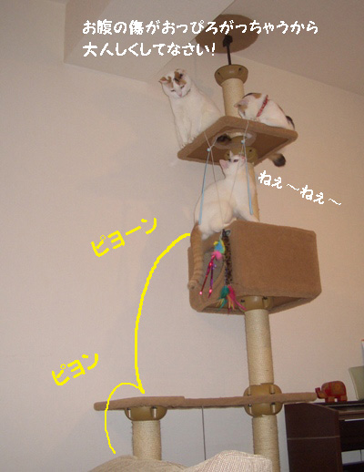 img20080221_1.jpg