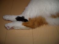 img20070622_1.jpg