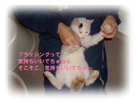 img20071029_1.jpg