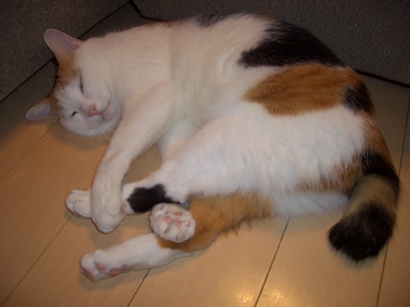 cimg0053.jpg