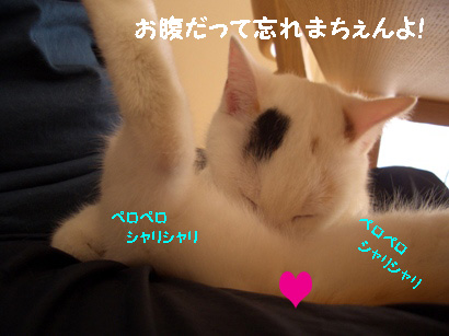 img20080130_7.jpg
