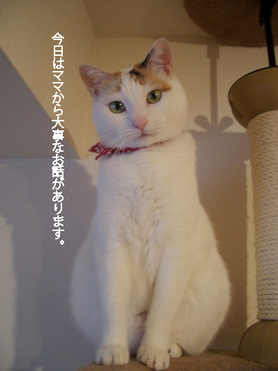 img20080314.jpg