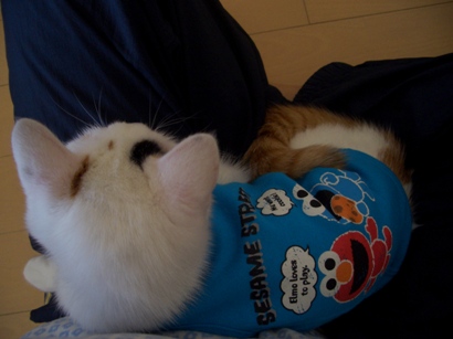 img20080220.jpg