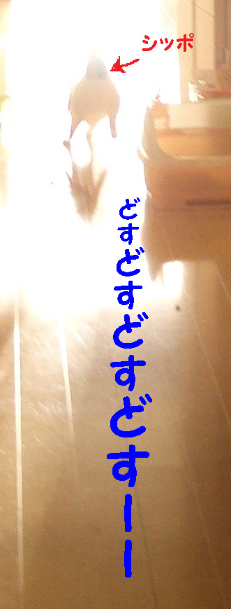 img20080129.jpg