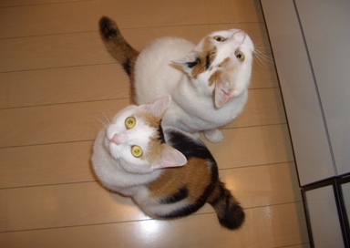 img20070806.jpg