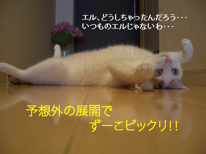 img20080312_4.jpg