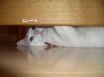 img20080210.jpg