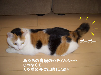 img20080118_5.jpg