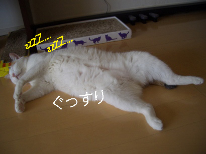 img20080305_1.jpg