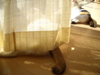 img20071229.jpg