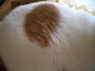 img20070622_4.jpg