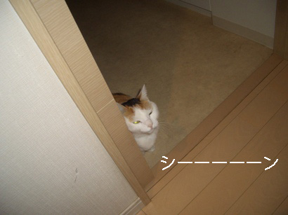 img20080317_1.jpg