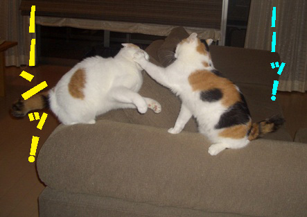 img20071122_1.jpg