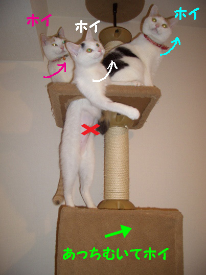 img20080221_4.jpg