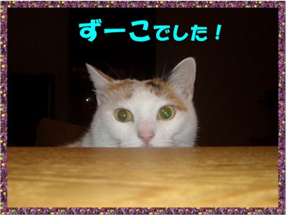 img20071125.jpg