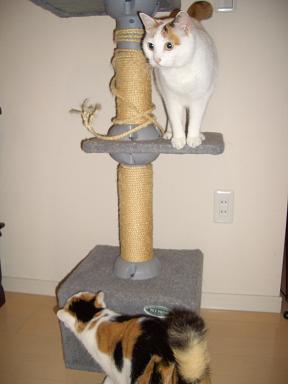 img20070715.jpg