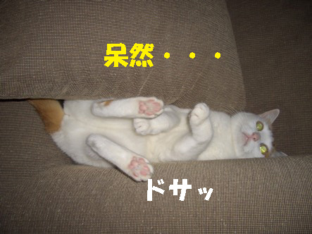 img20071122_2.jpg