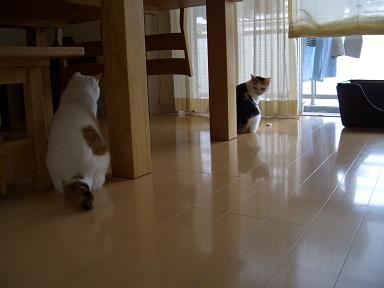 img20070619_2.jpg