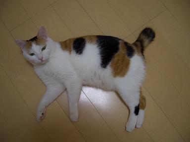 cimg0710.jpg