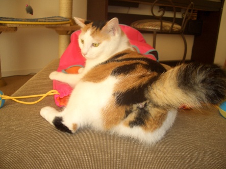 img20070921_3.jpg
