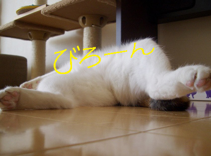 img20080305.jpg