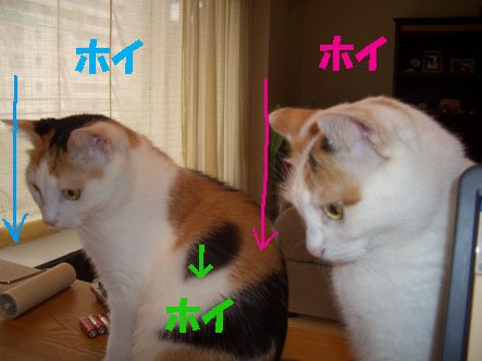 img20070929_3.jpg