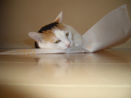 img20070829.jpg