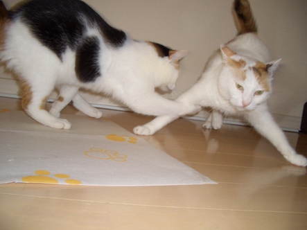 img20070829_3.jpg