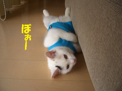 img20071229_3.jpg
