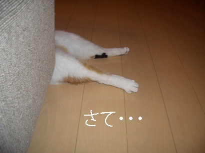 img20080228.jpg