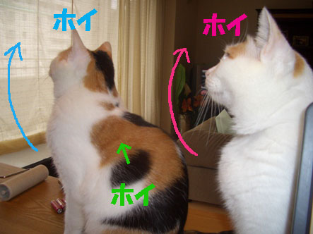 img20070929_4.jpg