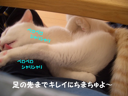 img20080130_4.jpg