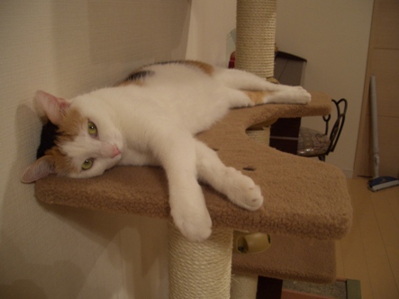 img20070906_1.jpg