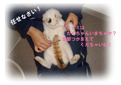 img20071029.jpg
