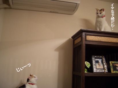 img20080311.jpg