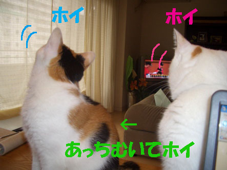 img20070929_1.jpg