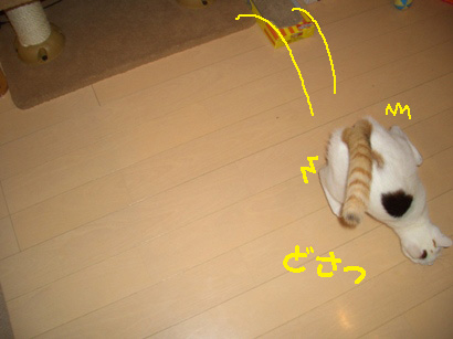 img20080221_7.jpg