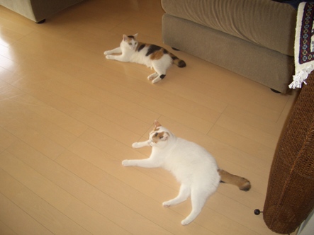 img20070923_2.jpg