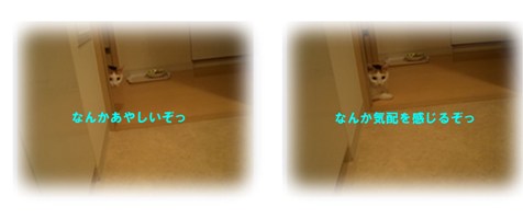 img20071027.jpg
