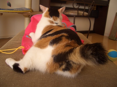 img20070921.jpg