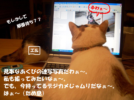 img20071030.jpg