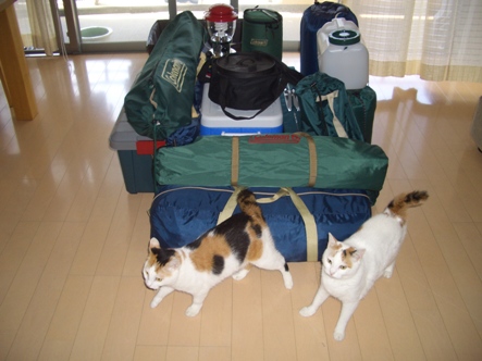 img20070910.jpg