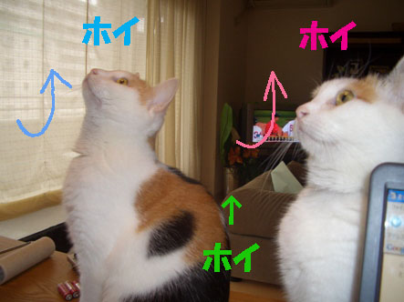 img20070929_2.jpg