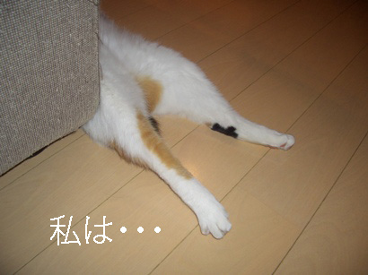 img20080228_1.jpg