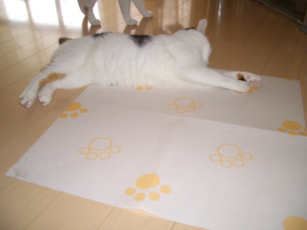 img20070828_1.jpg