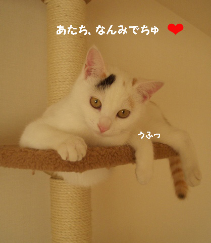 img20080130.jpg