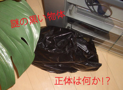img20080302.jpg