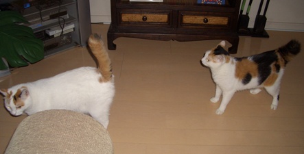 img20070928.jpg